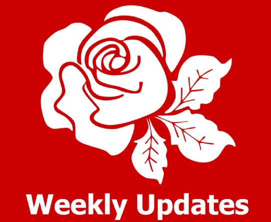 Week 4 - Summer 1 - Weekly Update