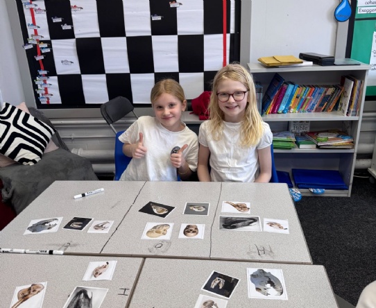 Sorting in science!