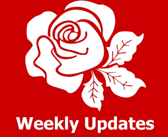 Weekly update