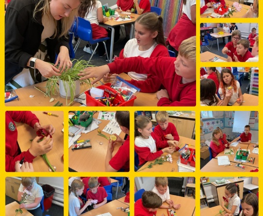 Plant Reproduction