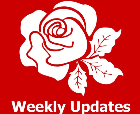Weekly Update