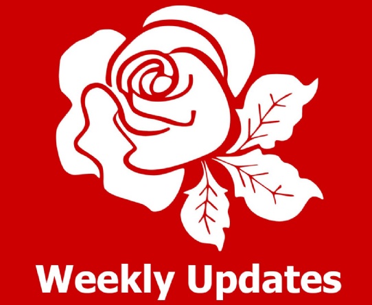 Weekly Update
